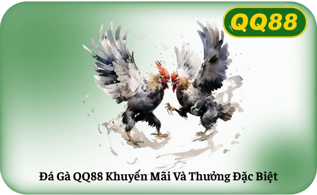 Da Ga QQ88 Khuyen Mai Va Thuong Dac Biet Đá Gà QQ88 Khuyến Mãi Và Thưởng Đặc Biệt