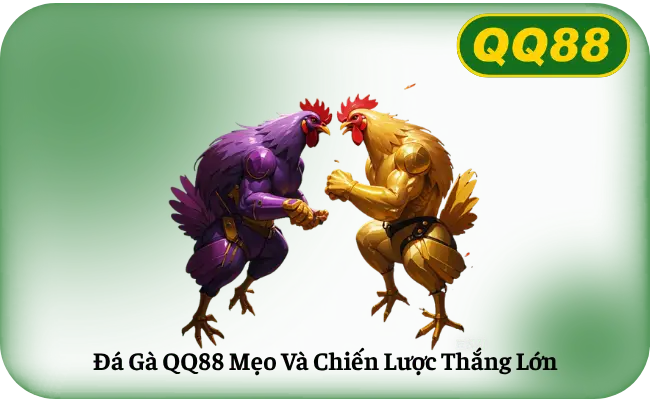 Da Ga QQ88 Meo Va Chien Luoc Thang Lon Đá Gà QQ88 Mẹo Và Chiến Lược Thắng Lớn