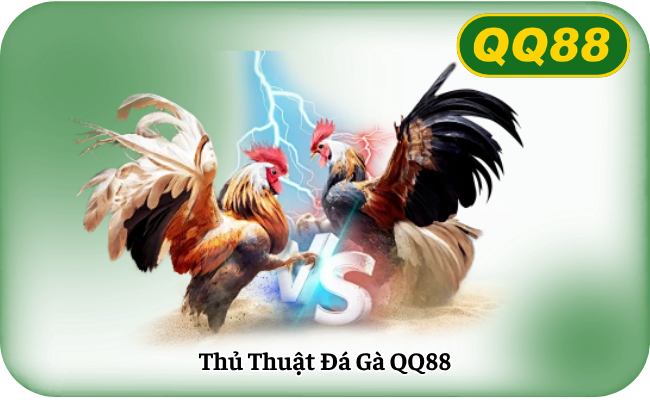 Thu Thuat Da Ga QQ88 Thủ Thuật Đá Gà QQ88